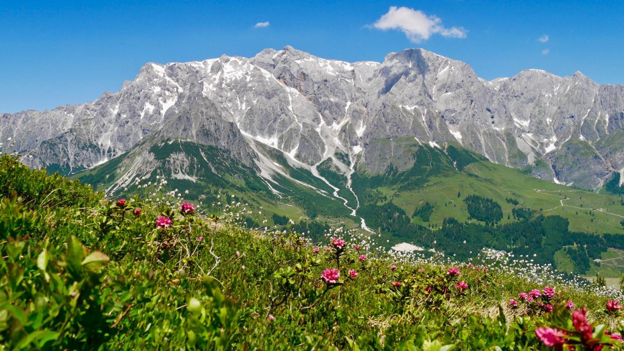 Landhaus Rieding Lägenhet Mühlbach am Hochkönig Exteriör bild