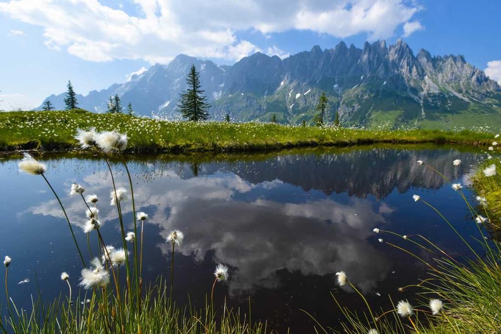 Landhaus Rieding Lägenhet Mühlbach am Hochkönig Exteriör bild