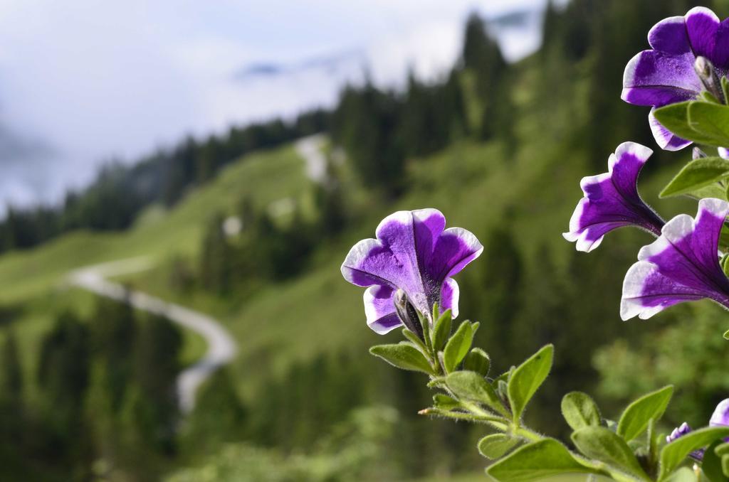 Landhaus Rieding Lägenhet Mühlbach am Hochkönig Exteriör bild